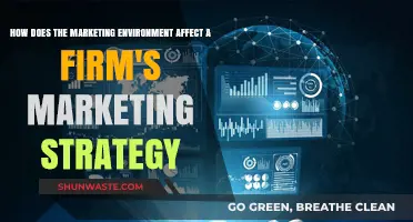 Marketing Environment's Impact: Shaping Firm Strategies for Success