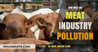 Meat Industry's Dark Secret: Environmental Pollution and Climate Change