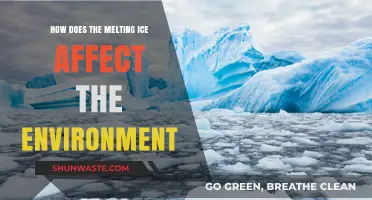 Melting Ice: Environmental Impacts and Global Consequences Explained