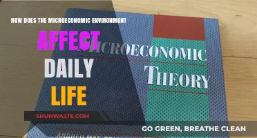 Microeconomic Forces: Shaping Daily Choices, Costs, and Consumer Realities