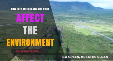 Mid-Atlantic Ridge: Shaping Ecosystems and Global Environmental Dynamics