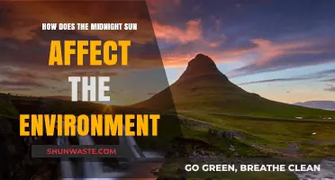 Midnight Sun's Impact: Environmental Changes in Polar Regions Explained