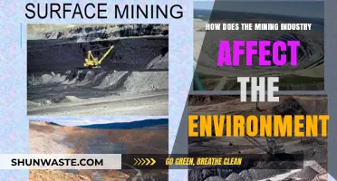 Mining's Environmental Impact: Exploring the Industry's Ecological Footprint