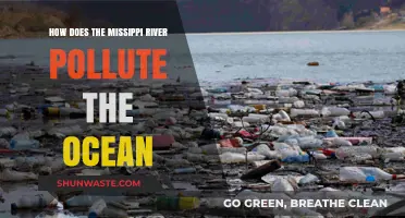 Mississippi River Pollution: Ocean Impact