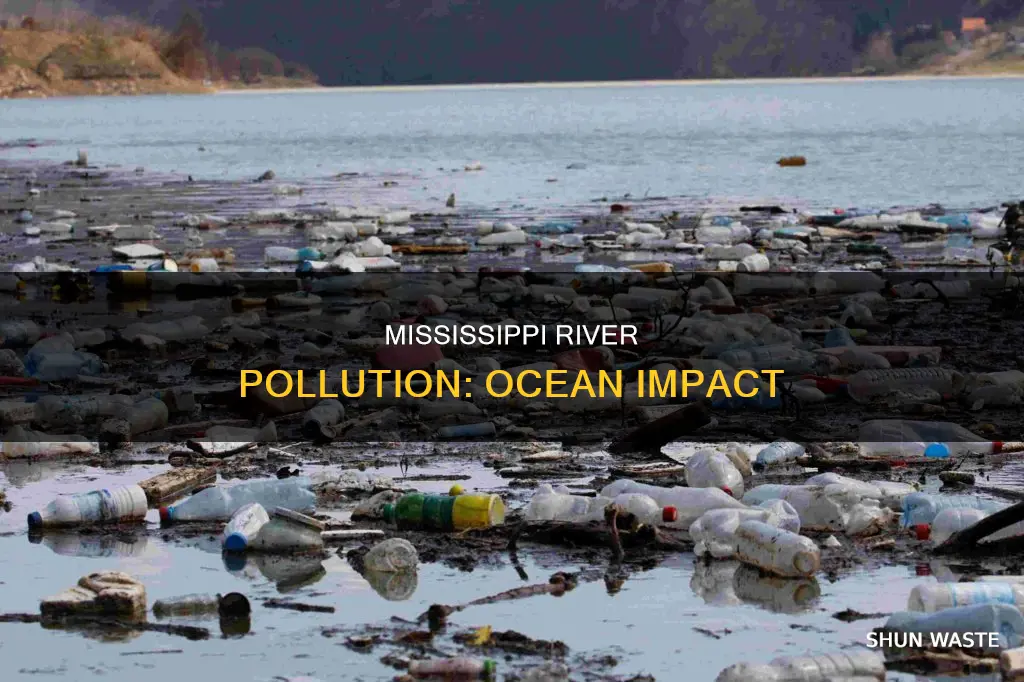 how does the missippi river pollute the ocean