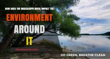 Mississippi River's Environmental Impact: Shaping Ecosystems and Communities