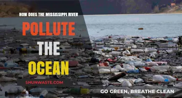 Mississippi River: Ocean Polluter?