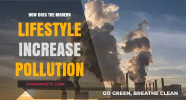 Modern Living's Pollution Problem: A Lifestyle Impact