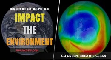 Montreal Protocol's Environmental Impact: Healing the Ozone Layer and Beyond
