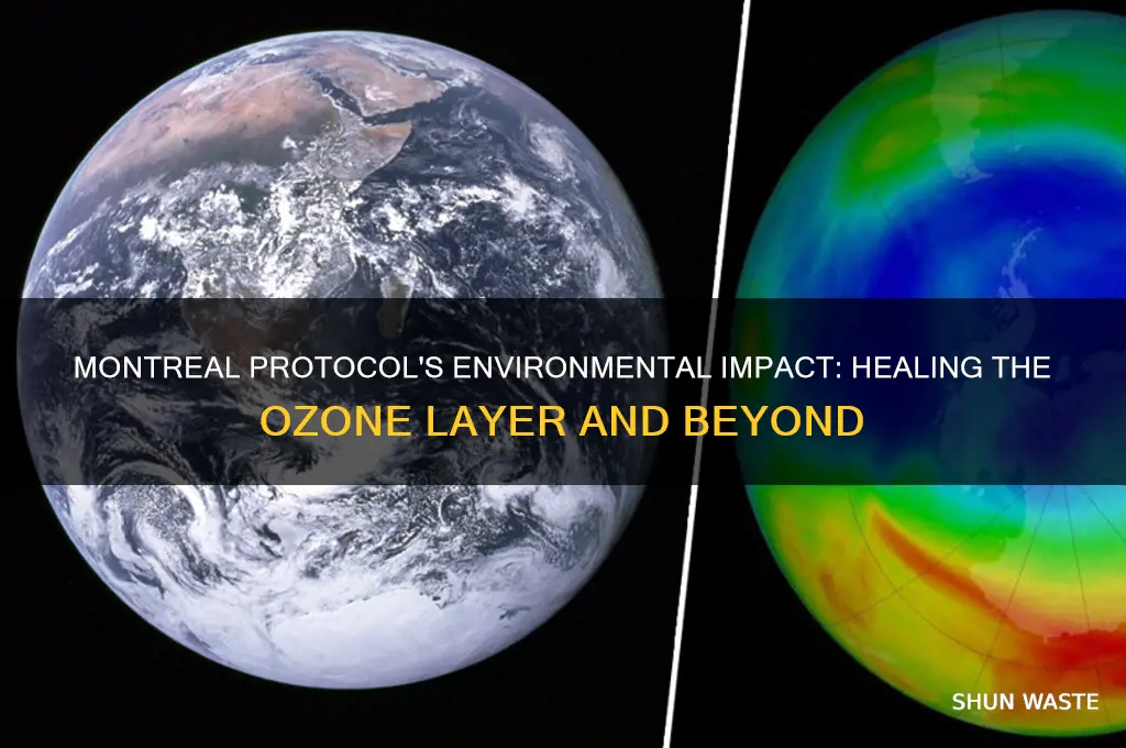 how does the montreal protocol impact the environment