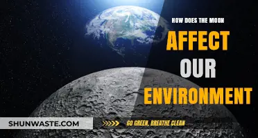 Lunar Influence: Exploring the Moon's Impact on Earth's Environment
