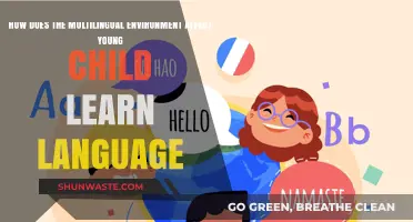 Multilingual Homes: Shaping Young Children’s Language Learning Journey