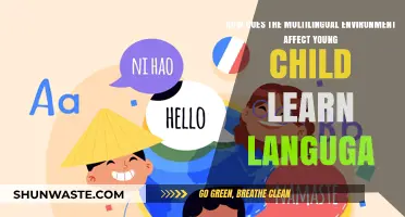 Multilingual Environments: Shaping Young Children’s Language Learning Journey