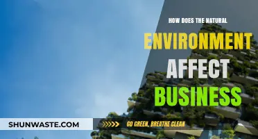 Nature's Impact: How the Environment Shapes Business Strategies and Success