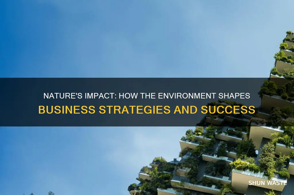 how does the natural environment affect business
