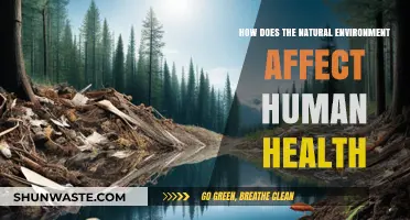Nature's Impact: How the Environment Shapes Human Health and Well-being