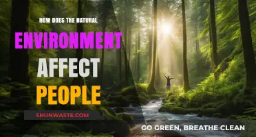 Nature's Impact: How Environments Shape Human Health and Well-Being