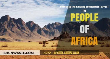 Africa's Natural Environment: Shaping Cultures, Livelihoods, and Daily Life