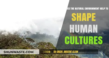 Nature's Influence: Shaping Human Cultures Through the Natural Environment