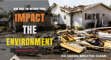 Natural Events' Environmental Impact: Understanding Ecological Changes and Consequences