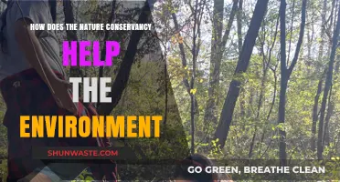 How The Nature Conservancy Protects and Restores Our Environment