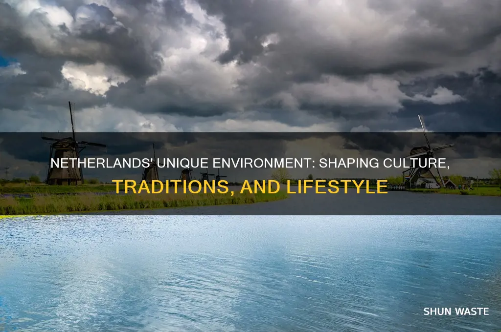 how does the netherlands environment affects its culture