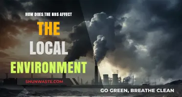 NHS Environmental Impact: Local Ecosystems, Sustainability, and Community Health