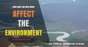 The Nile's Impact: Shaping Ecosystems and Environmental Dynamics in Africa