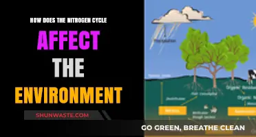 Nitrogen Cycle's Impact: Shaping Ecosystems and Environmental Balance