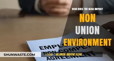 NLRA's Influence on Non-Union Workplaces: Rights, Protections, and Implications