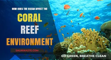 Ocean's Impact: Shaping Coral Reef Ecosystems and Biodiversity Dynamics