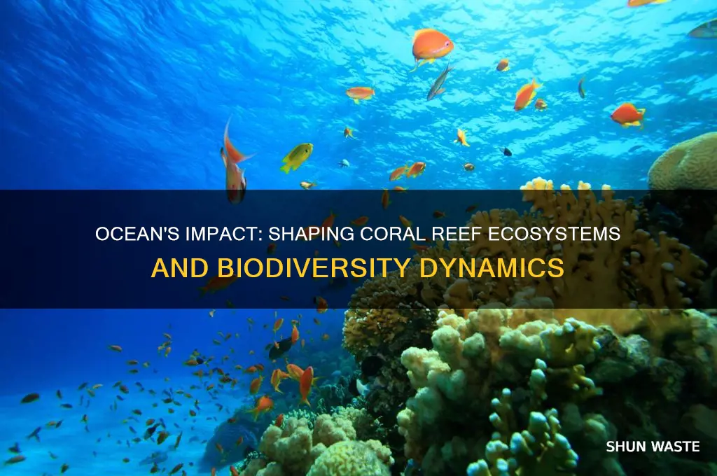 how does the ocean affect the coral reef environment