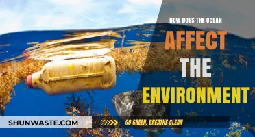 Ocean's Impact: Shaping Climate, Ecosystems, and Global Environmental Balance