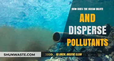 Ocean's Power: Diluting and Dispersing Pollutants