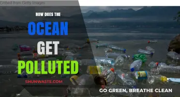 The Ocean's Plight: Understanding Pollution Sources