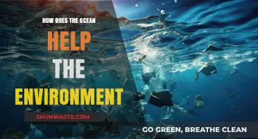 Ocean's Vital Role: Sustaining Ecosystems, Climate, and Life on Earth