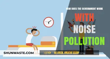 Battling Noise Pollution: The Government's Role