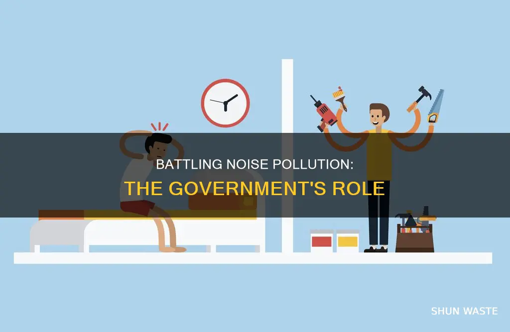 how does the ogvernment work with noise pollution