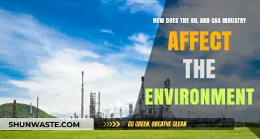 Environmental Impact of Oil and Gas: Pollution, Climate, and Ecosystems