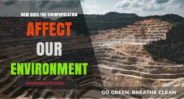 Overpopulation's Impact: Environmental Consequences and Sustainable Solutions Explored