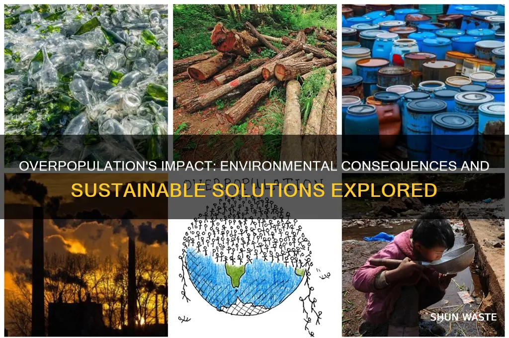 how does the overpopulation affect our environment