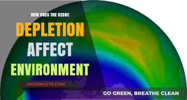 Ozone Depletion's Impact: Environmental Consequences and Global Ecosystem Threats