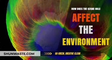 Ozone Hole's Impact: Environmental Consequences and Global Climate Concerns