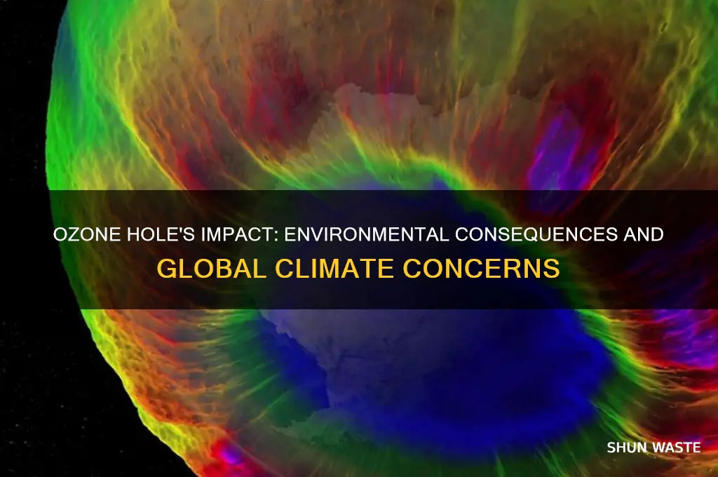 how does the ozone hole affect the environment