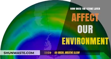 Ozone Layer's Vital Role in Protecting Earth's Environment and Life