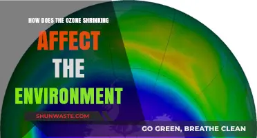 Ozone Layer Depletion: Environmental Impacts and Urgent Global Solutions