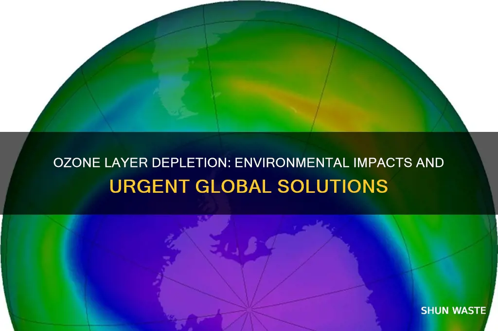 how does the ozone shrinking affect the environment