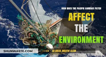 Pacific Garbage Patch: Devastating Environmental Impacts and Urgent Solutions Needed