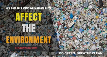 Pacific Gyre Garbage Patch: Environmental Impacts and Ecosystem Threats