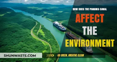 Panama Canal's Environmental Impact: Challenges and Conservation Efforts